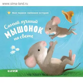 Самый лучший мышонок на свете. Райдер К.