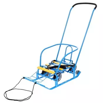 Санки детские с колёсами «Тимка 3К универсал», с ручкой, цвет голубой