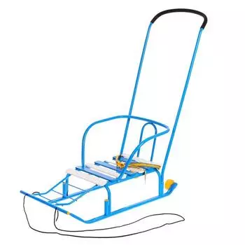 Санки детские «Тимка 5 комфорт», с ручкой, голубые