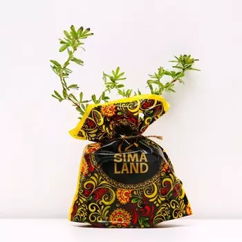 Саженец Курильская чай(лапчатка) Золотой полет, Горшок P9, Лето 2024