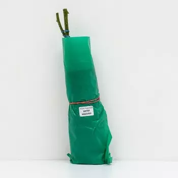 Саженец Роза Парковая "Дитер Мюллер" 1 шт, Весна 2024