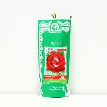 Саженец Роза "Шандон Розе", "Сибирская Садовница", 1 шт, Весна 2023