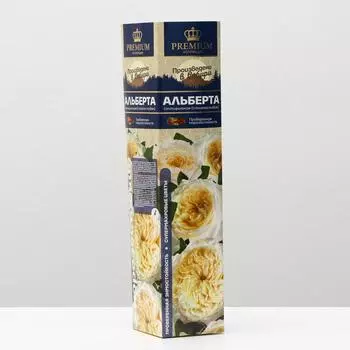 Саженец розы Альберта, 1 шт, Весна 2025