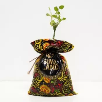 Саженец розы "Блек баккара" 1 шт