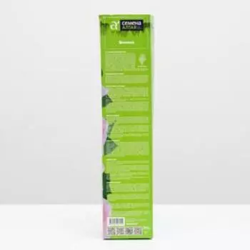 Саженец розы Боника, Весна 2023, 1 шт.