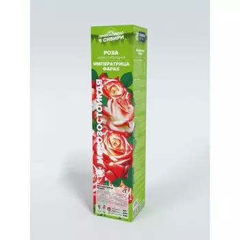 Саженец Розы Чайно-гибридная "Императрица Фарах", 1 шт, Весна 2023