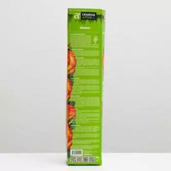 Саженец розы Циркус, Весна 2024, 1 шт.