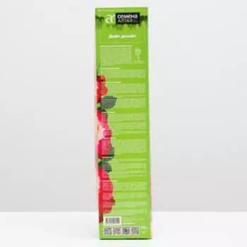 Саженец розы Дабл Делайт, Весна 2025, 1 шт.