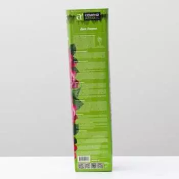 Саженец розы Дип Перпл, Весна 2024, 1 шт.