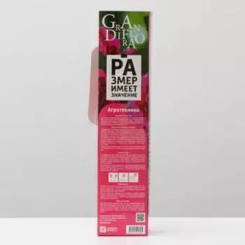 Саженец розы Гасфорта Весна 2025, 1 шт.