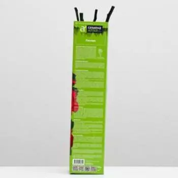 Саженец розы Госпел Весна 2025, 1 шт.