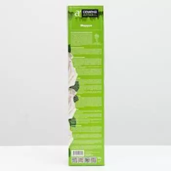 Саженец розы Маруся, Весна 2025, 1 шт.