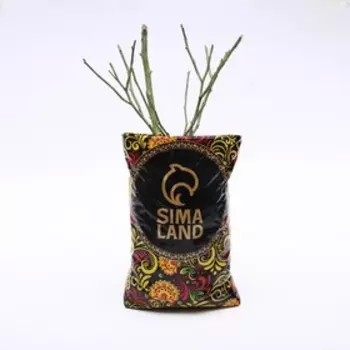 Саженец розы "Моди блюз" 1 шт