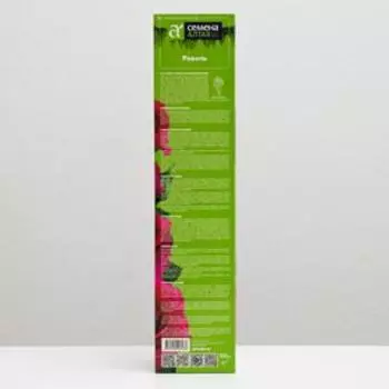 Саженец розы Равель, Весна 2023, 1 шт.