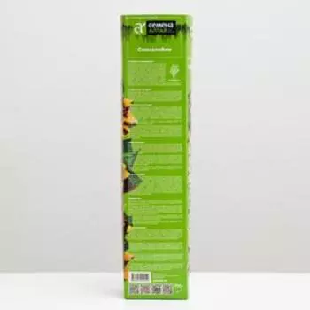 Саженец розы Симсалабим, Весна 2025, 1 шт.