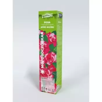 Саженец Розы Спрей "Арио Фолес", мини-роза, 1 шт, Весна 2024