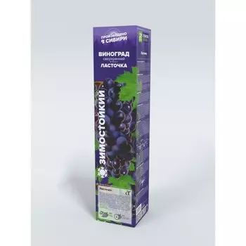 Саженец винограда "Ласточка", 1 шт, Весна 2024