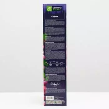 Саженец винограда София, Весна 2023, 1 шт.