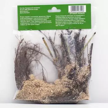 Саженец Земляники ФРИГО Монтерей А (9-15 мм) , 5 шт