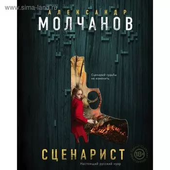 Сценарист. Молчанов А.В.