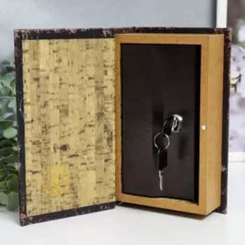 Сейф-книга дерево кожзам "Французский бульдог в наушниках и очках" 21х13х5 см