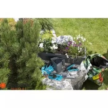 Секатор, лопатка, многофункциональный кувшин с заостренным краем "Домашнее садоводство"