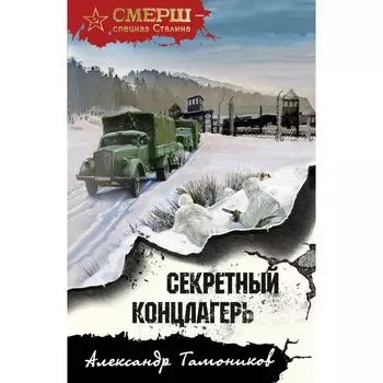 Секретный концлагерь. Тамоников А.А.