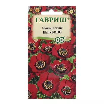 Семена Адонис "Керубино", ц/п, 0,1 г