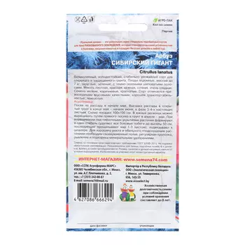 Семена Арбуз "Сибирский Гигант", 10 шт