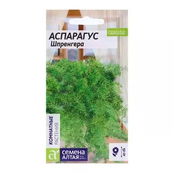 Семена Аспарагус "Шпренггера", ц/п, 5 шт