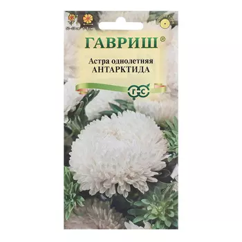 Семена Астра "Антарктида", 0,3 г