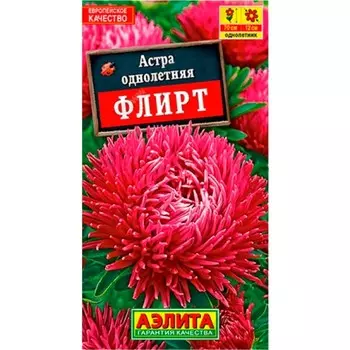 Семена Астра "Флирт", шаровидно-игольчатая