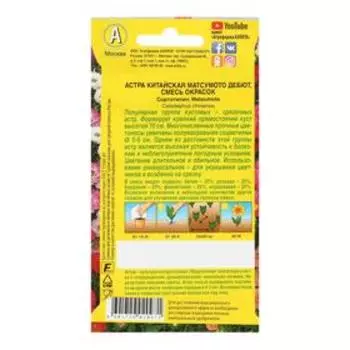 Семена Астра Матсумото Дебют, смесь окрасок , 0,2г