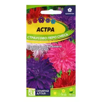 Семена Астра "Страусово Перо", ц/п, 0,3 гр.
