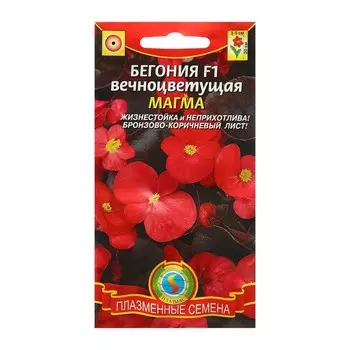 Семена Бегония вечноцветущая "Магма", F1, 10 шт