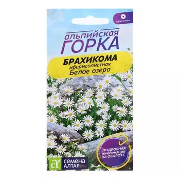 Семена Брахикома "Белое озеро", ц/п, 0,05 гр.