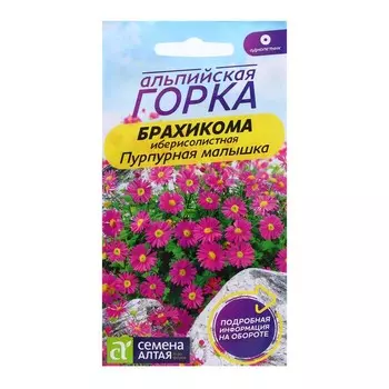 Семена Брахикома "Пурпурная малышка", ц/п, 0,05 гр.