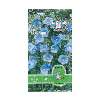 Семена Цветок Лён "Пилигрим "0.1 г