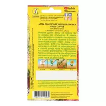 семена Астра Звезды галактики, смесь окрасок 0,2 гр.