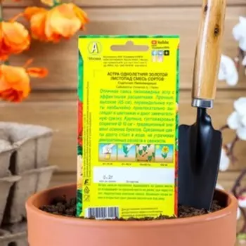 Семена цветов Астра "Золотой листопад", смесь окрасок, О, 0,2 г