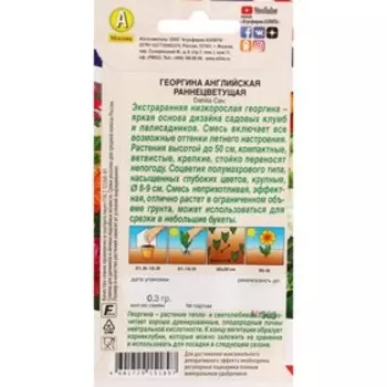 Семена Цветов Георгина "Английская раннецветущая", смесь сортов,