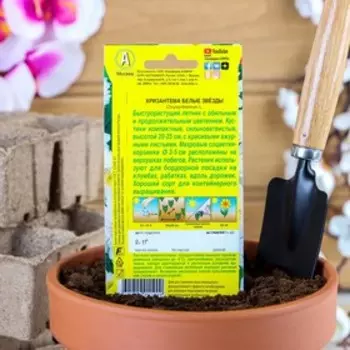 Семена цветов Хризантема девичья "Белые Звезды". О, 0,05 г