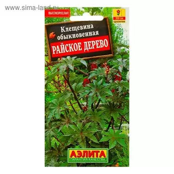 Семена цветов Клещевина "Райское дерево", О, 2 г