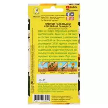 Семена цветов Нивяник "Серебряная принцесса", 0,2 г