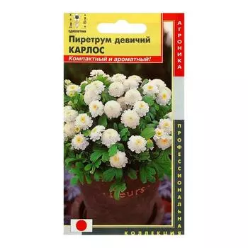 Семена цветов "Агроника" Пиретрум девичий "Карлос", О, 10 шт