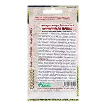 Семена цветов Альтернантера бразильская "Пурпурный Принц", 3 шт