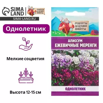 Семена цветов Алиссум «Ежевичные меренги», 5 шт.