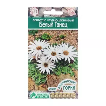 Семена цветов Арктотис крупноцветковый "Белый Танец", 10 шт