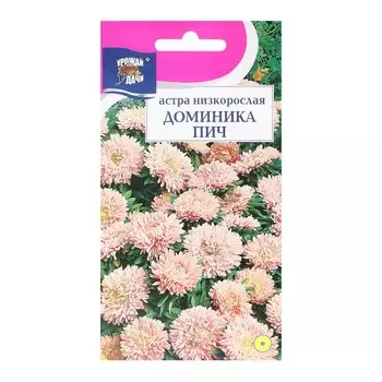 Семена цветов Астра "ДОМИНИКА ПИЧ", 0,2 г