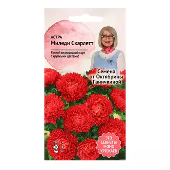 Семена цветов Астра "Миледи скарлет", 0,1 г